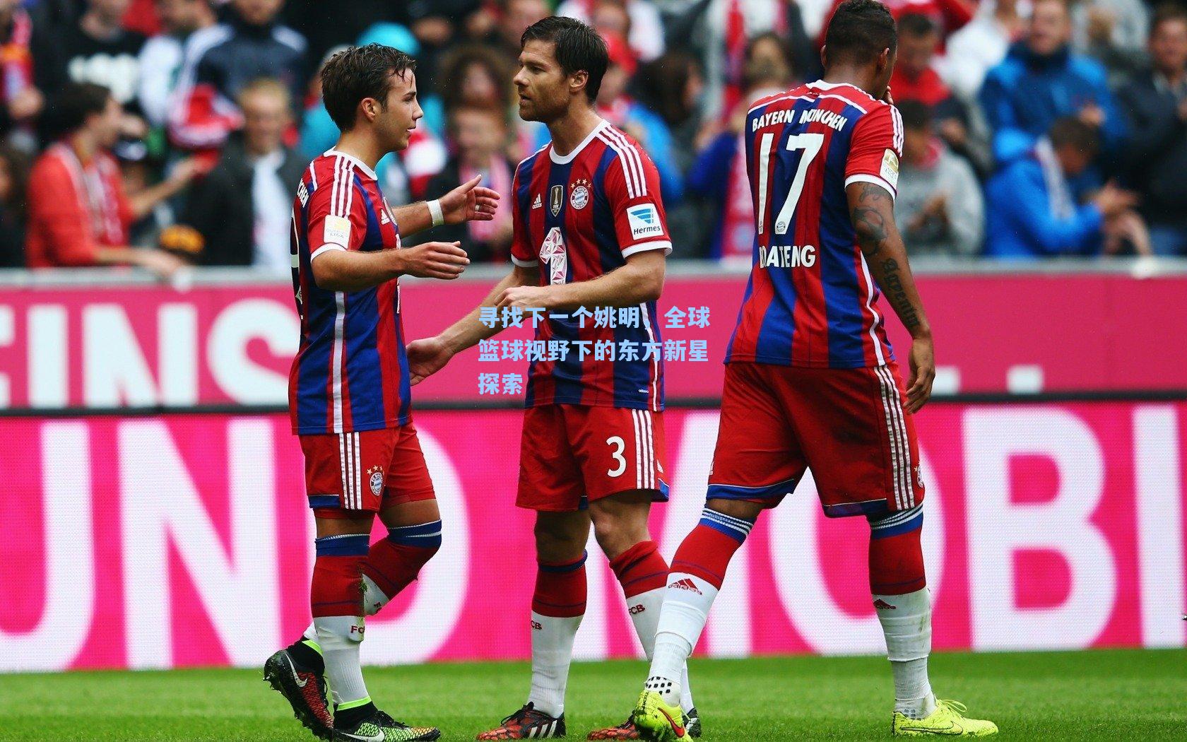 寻找下一个姚明,全球篮球视野下的东方新星探索